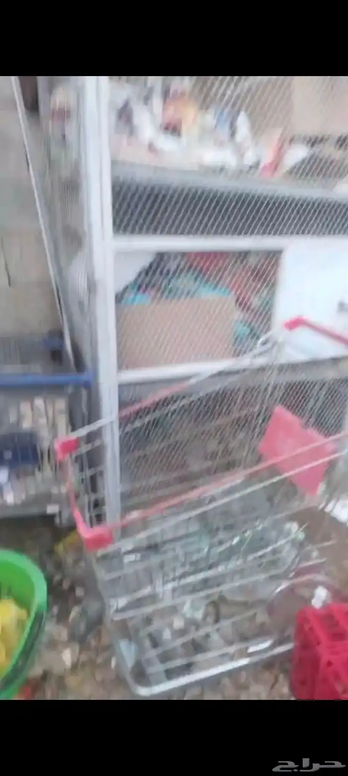 عرربيات تسوق 2