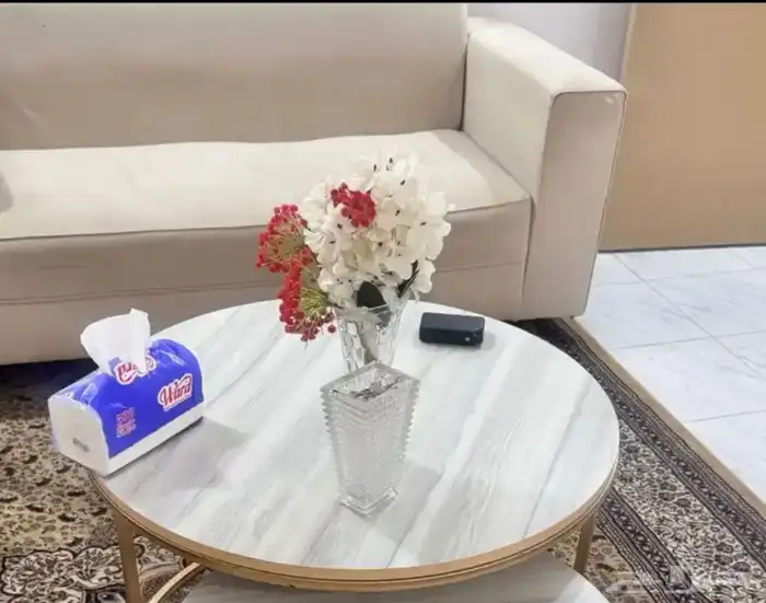 كنب وطاوله كبيره 350 0