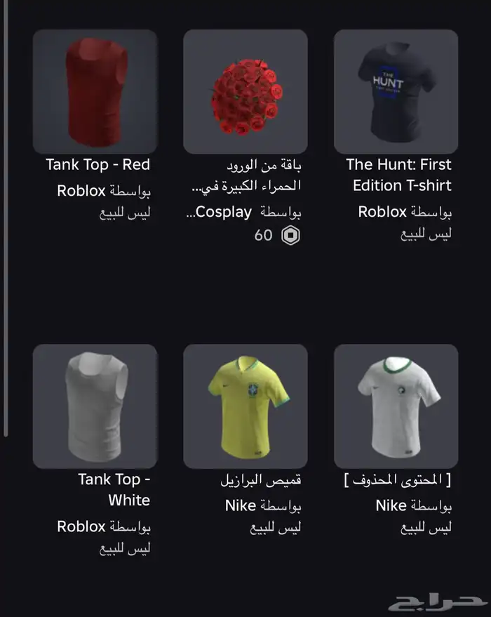 حساب روبلوكس 19