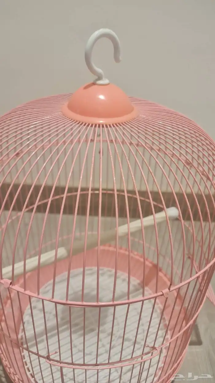 قفص طيور شبه جديد 2