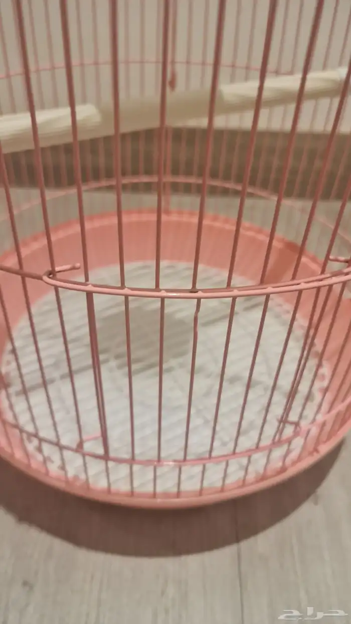 قفص طيور شبه جديد 3