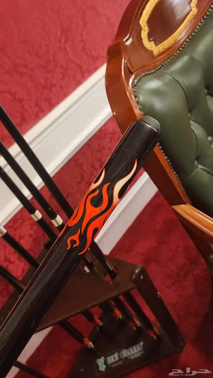 عصى بلياردو للمحترفين 2