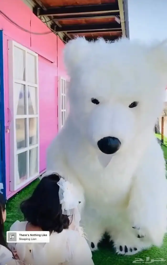 دمى هوائية للعروض مميزة صناعة المانية 0