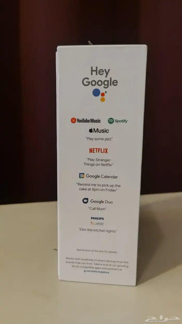 Google Nest Mini 2nd generation Charcoal 2