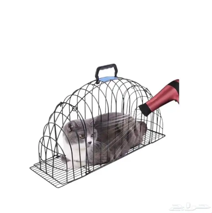 متجر Modi Birds مودي للحيوانات الاليفة 3