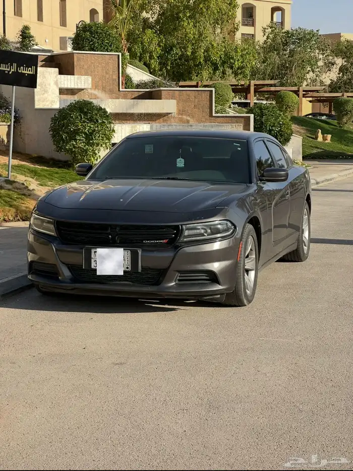 دوج 2019 6 سرندل 1