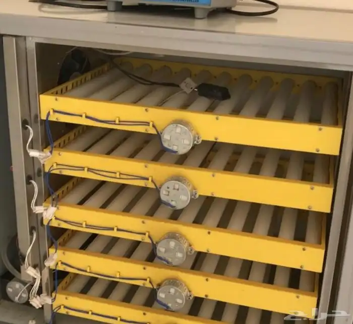 فقاسه 300 بيضه الشامل 1