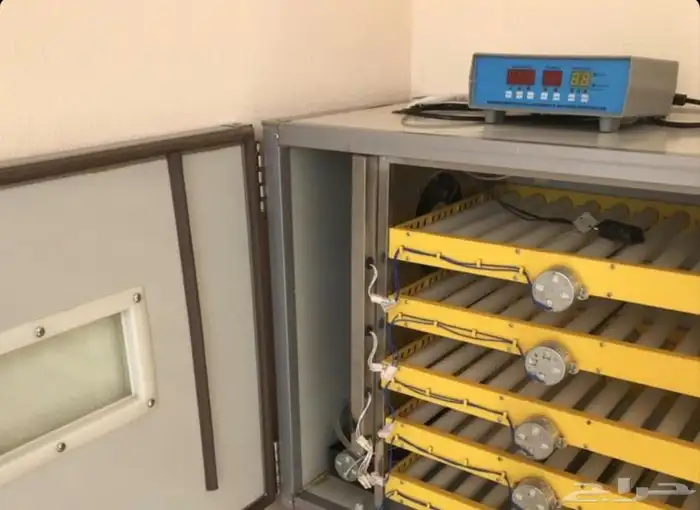 فقاسه 300 بيضه الشامل 2