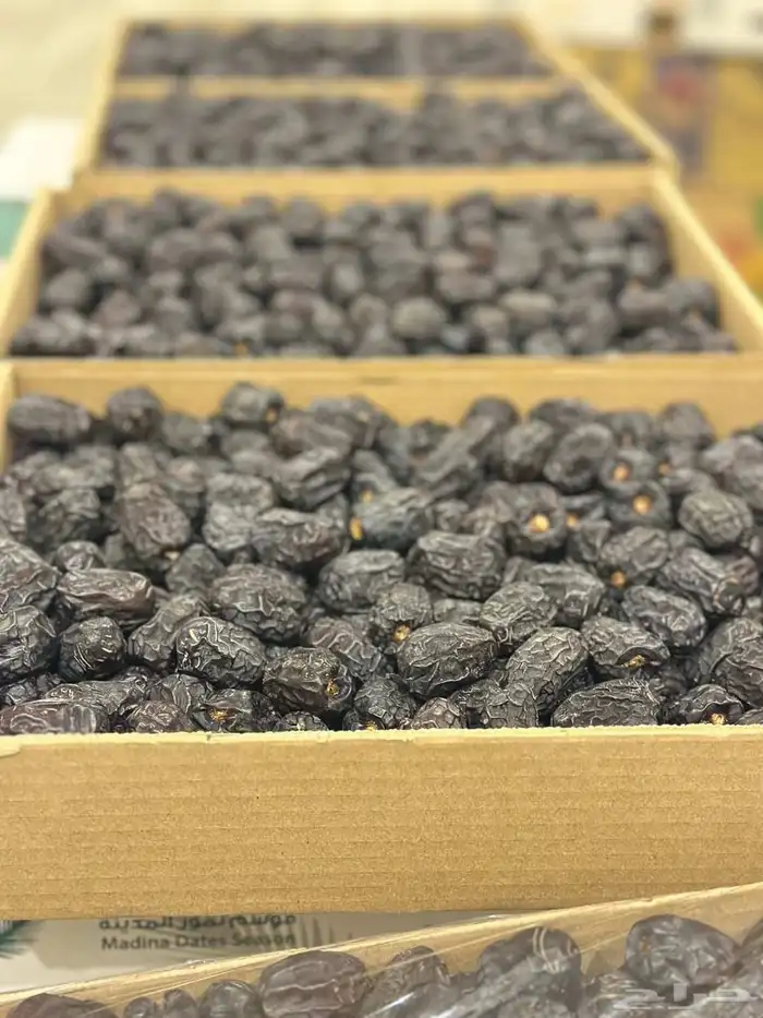 عجوة المدينة الفاخرة 1