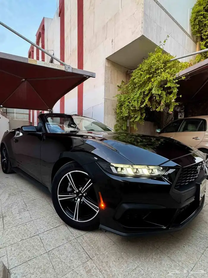 موستنج ايكوبوست كشف بطاقة جمركية 2