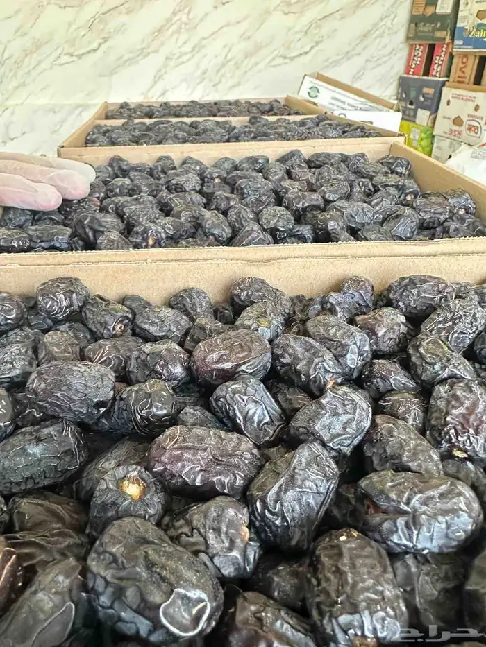 عجوة المدينة الفاخرة 0