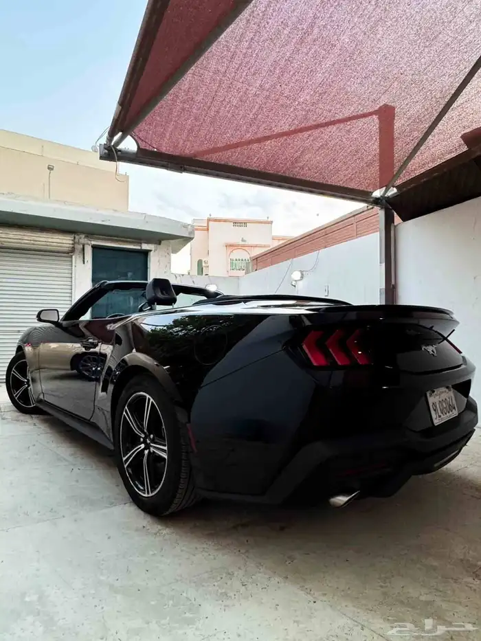 موستنج ايكوبوست كشف بطاقة جمركية 5