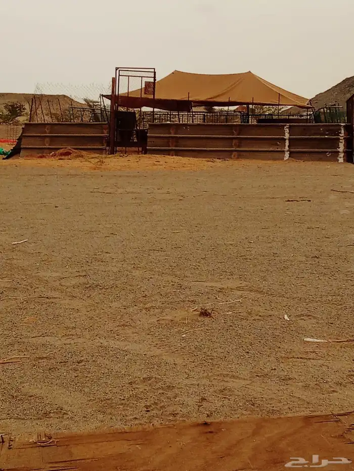 شبك غنم للإيجار 0