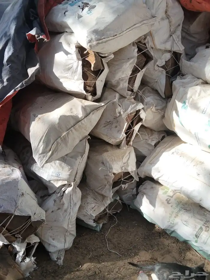 كرب نخل مقصص ونظيف 1