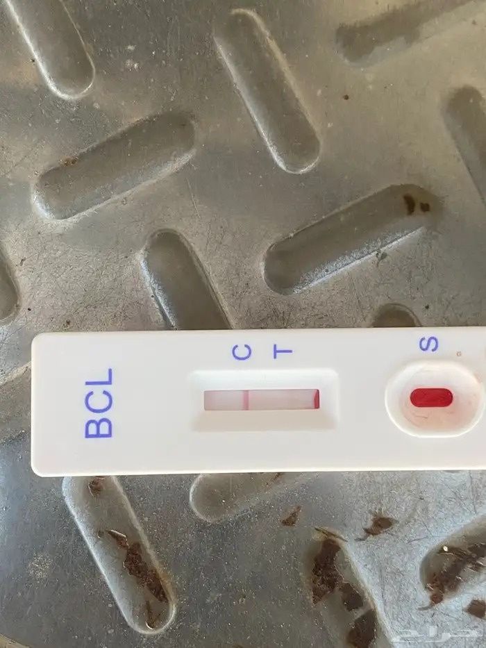 طلي فحل مشروط 1