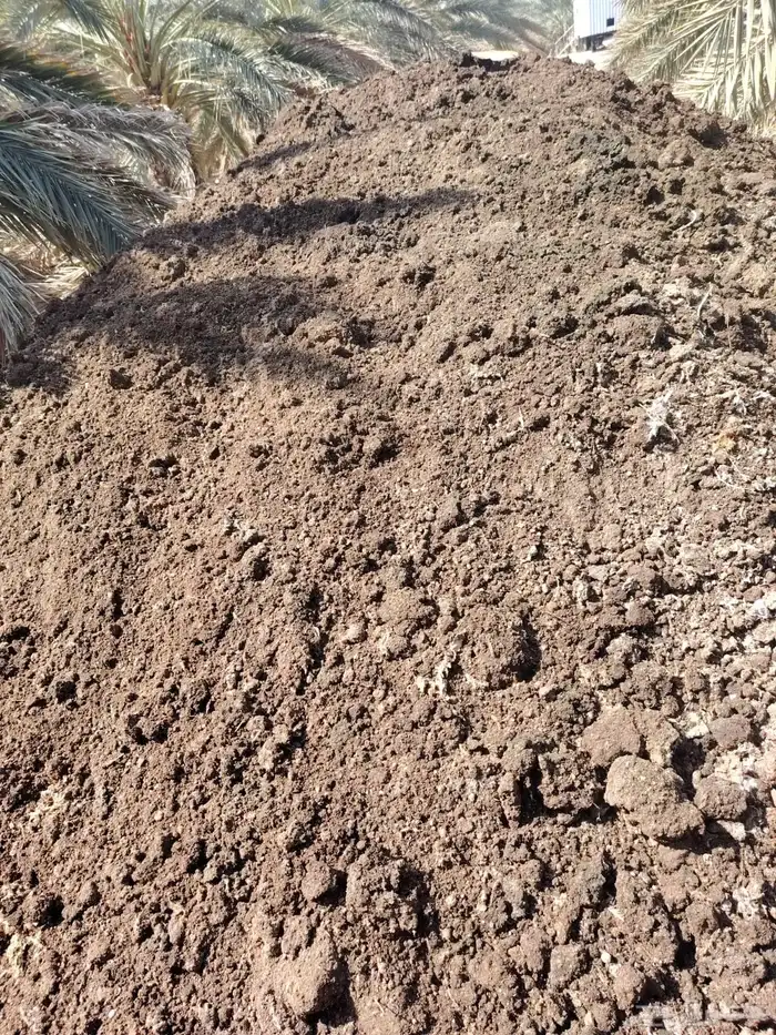 دمن دواجن بياض ناشف 1