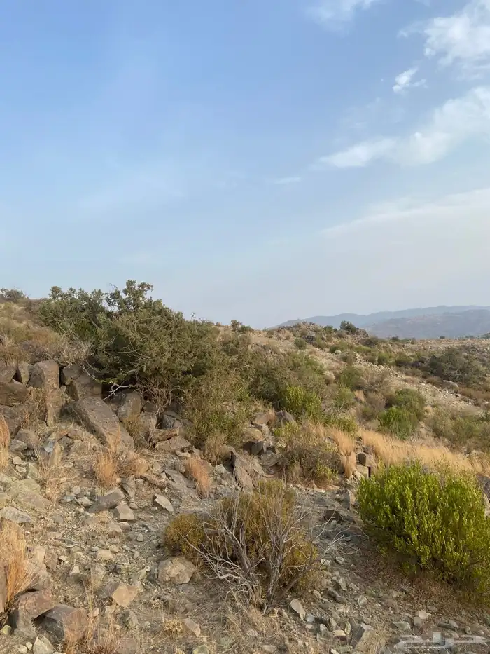 ارضين للبيع بالنماص في بني قشير 2