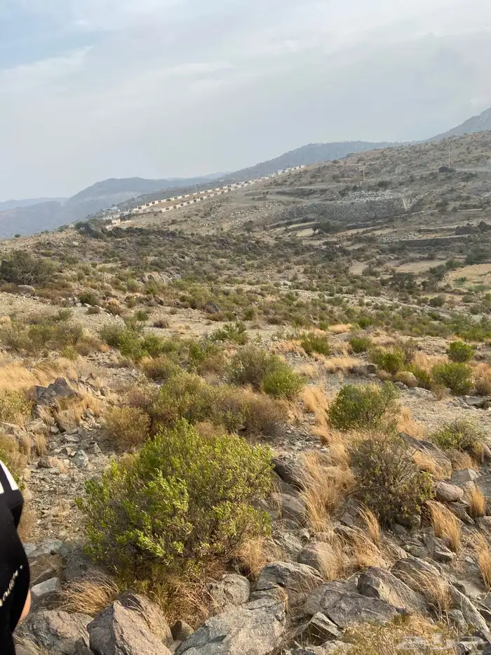 ارضين للبيع بالنماص في بني قشير 4