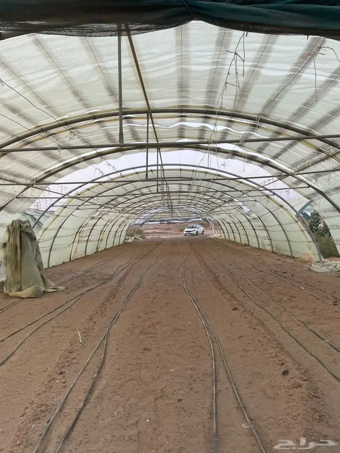 بيوت محميه 3