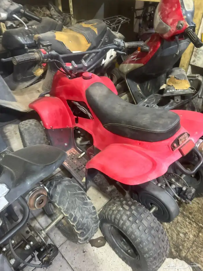 دباب للبيع. نظيف 0