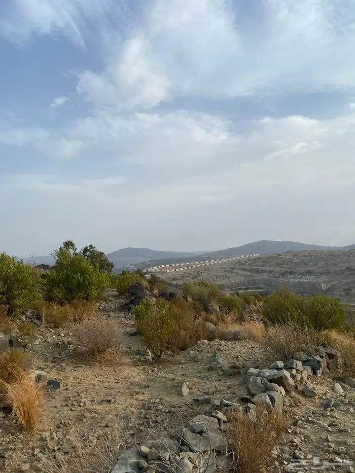 ارضين للبيع بالنماص في بني قشير 12