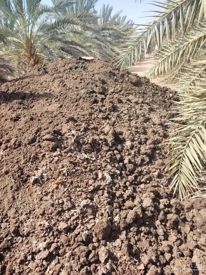 دمن دواجن بياض ناشف 0