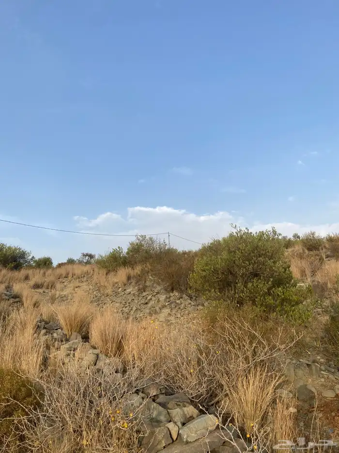 ارضين للبيع بالنماص في بني قشير 0