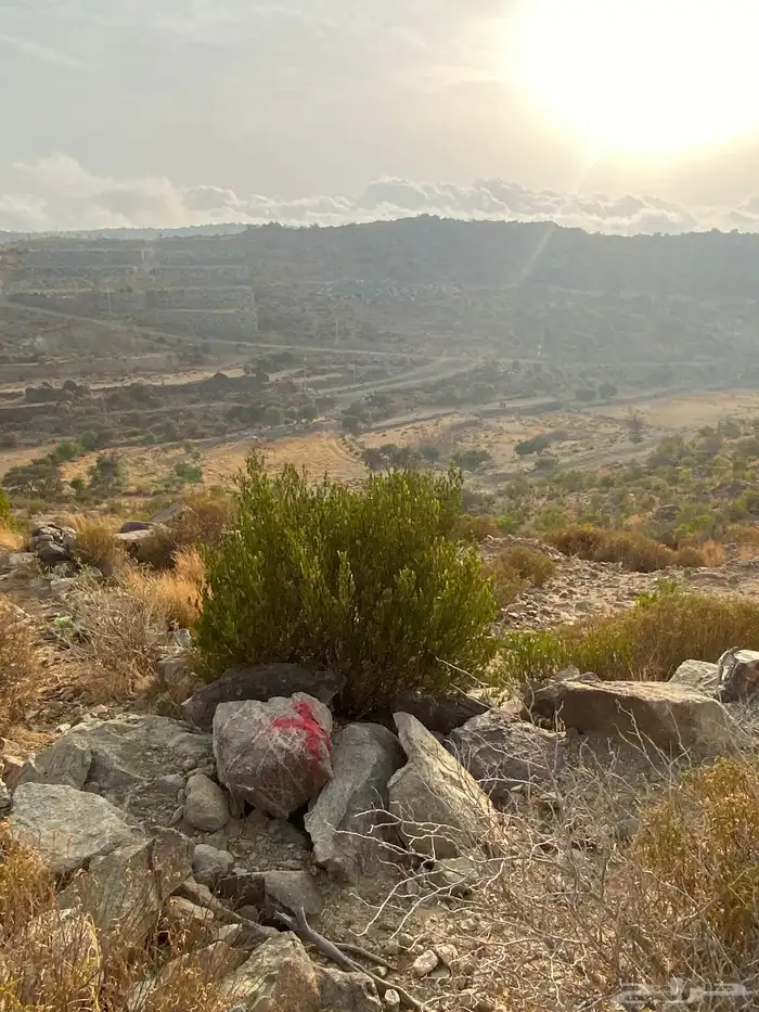 ارضين للبيع بالنماص في بني قشير 8