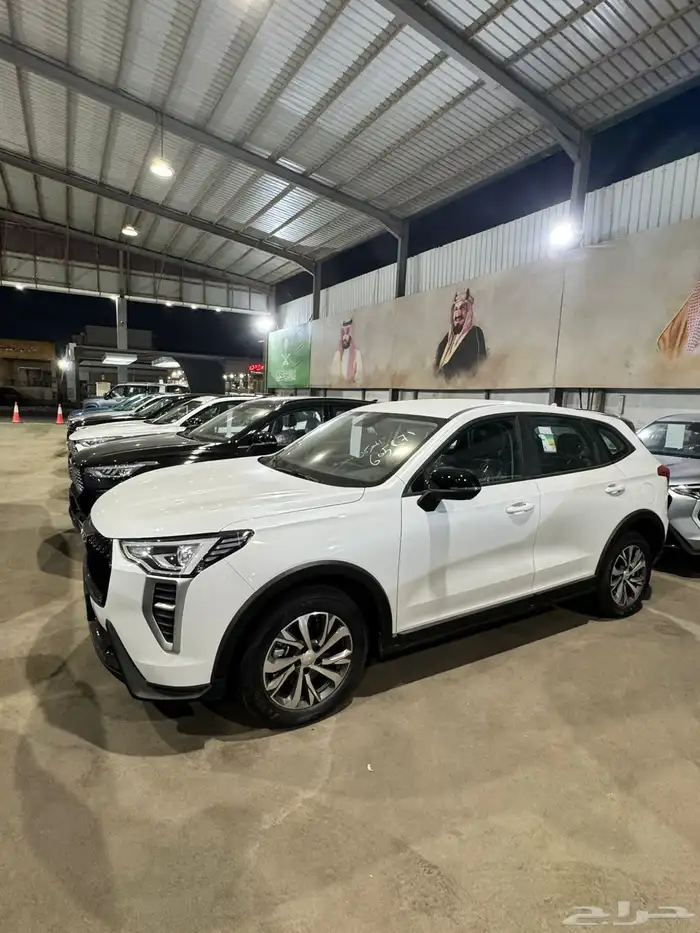 هافال جوليان استاندر 2025 10