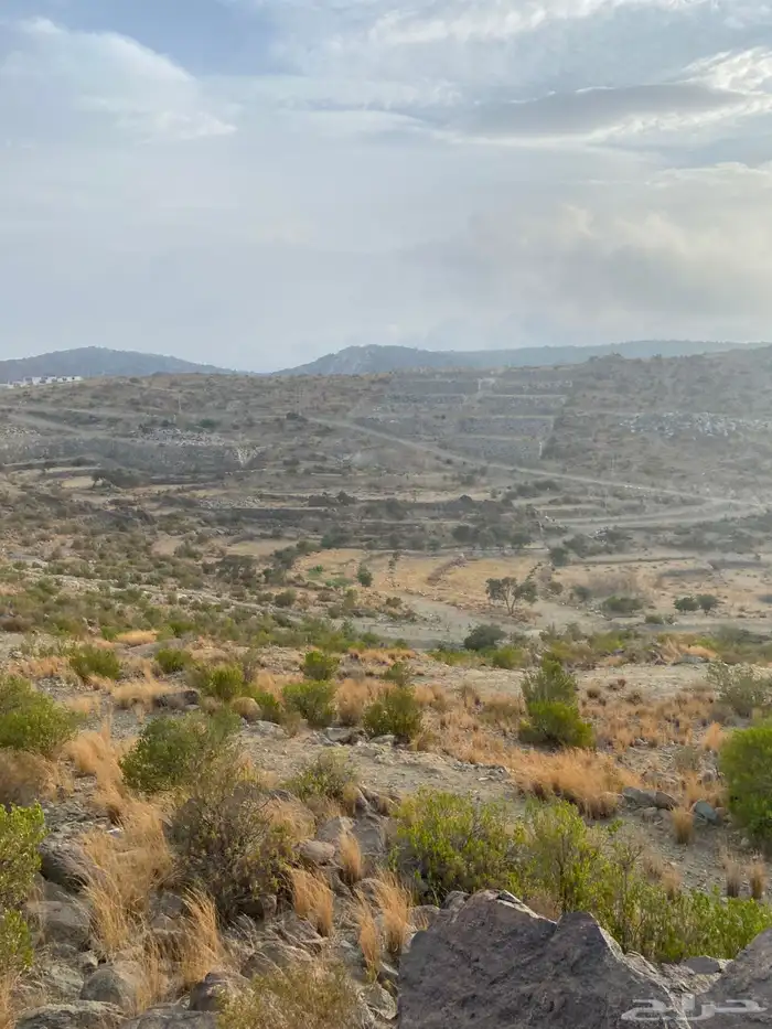 ارضين للبيع بالنماص في بني قشير 3