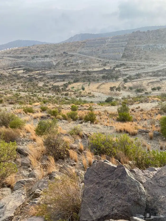 ارضين للبيع بالنماص في بني قشير 6