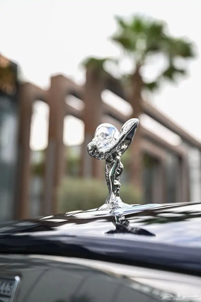 روز رايس كولنان لليجار في الرياض 3