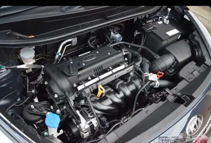 مكينه ريو 2012 2013 2014 2015 2016 2017-2018-2019 0