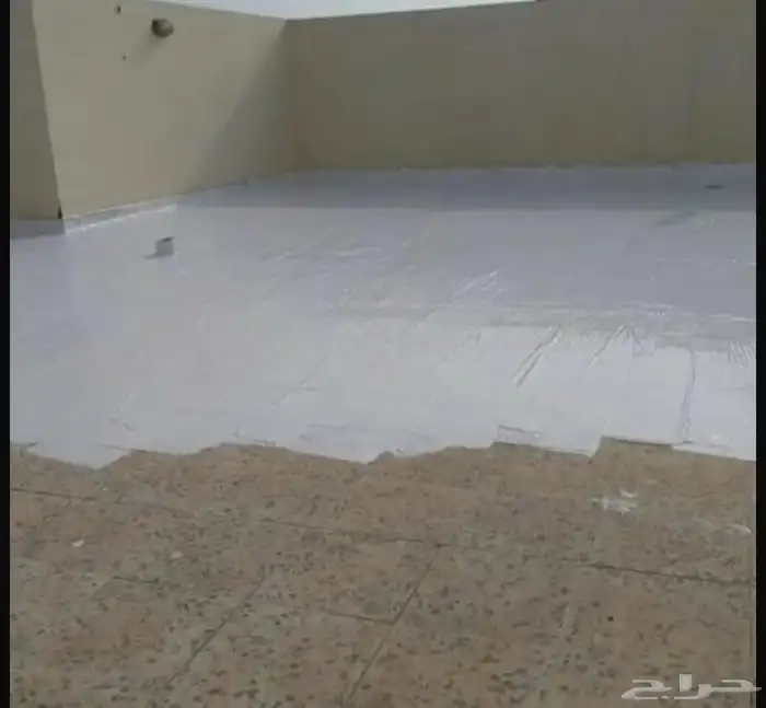 أصباغ داخلية وخارجية عوازل اسطح وديكورات 3