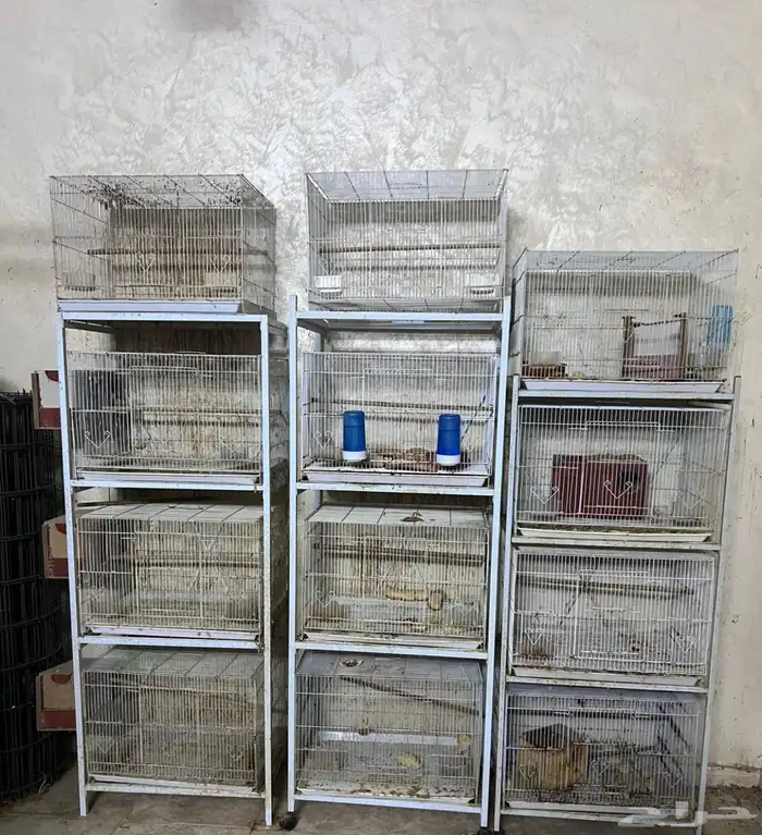 اقفاص 601 مع الاستاندات والبياضات 0