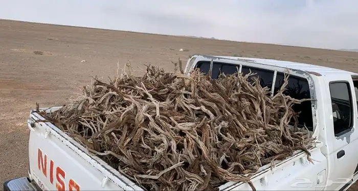 سلام عليك خياش طيبه نضيفه فيه40كيلو وفيها 10كيلو 1