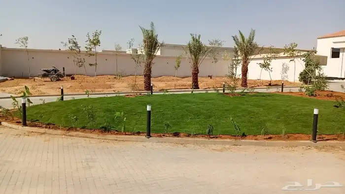 ثيل طبيعي فرنسي درجة أولى 3