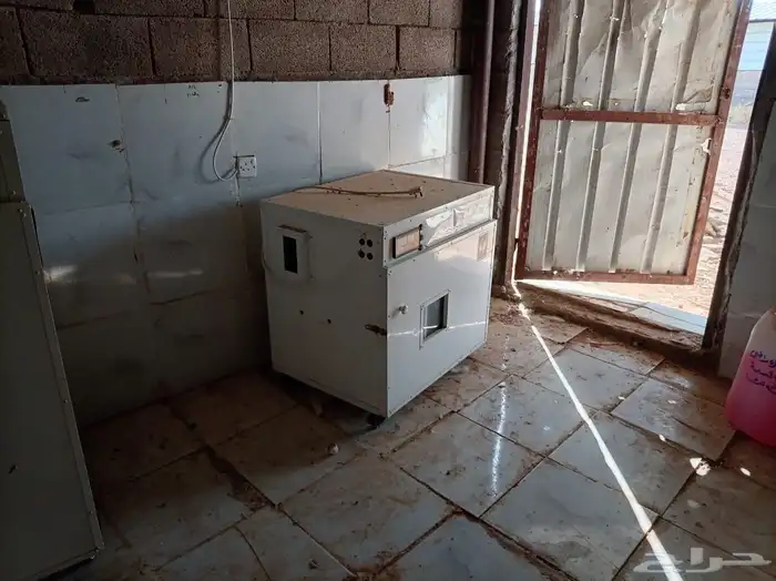 فقاسات بيض للييع 7