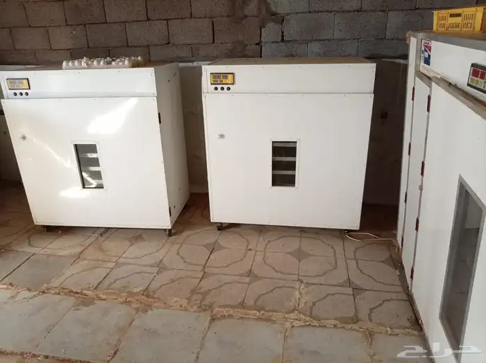 فقاسات بيض للييع 0