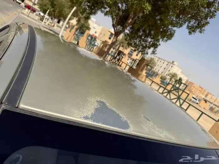 شيري اريزو 3 ذهبي 2020 4