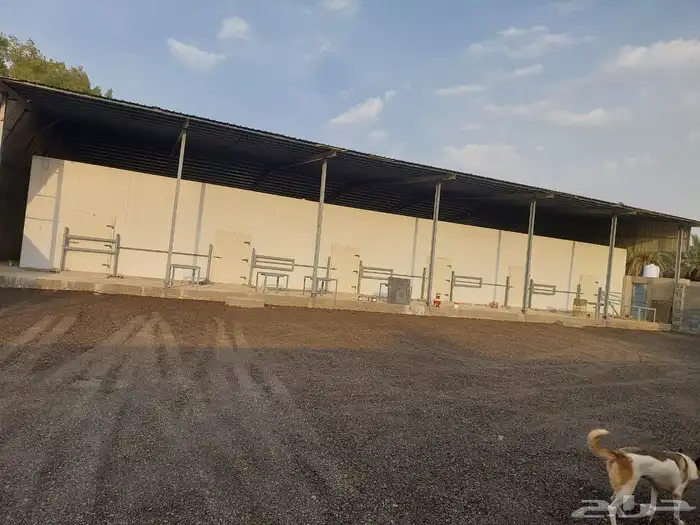 ثلاجات تبريد لإيجار السنوي بالقرب من الخليل 0