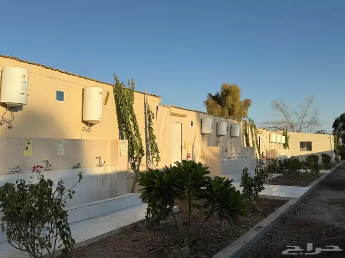 كرفان ساندويش بنال 21