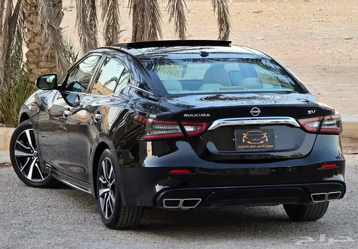 مكسيما 2023 SV 6