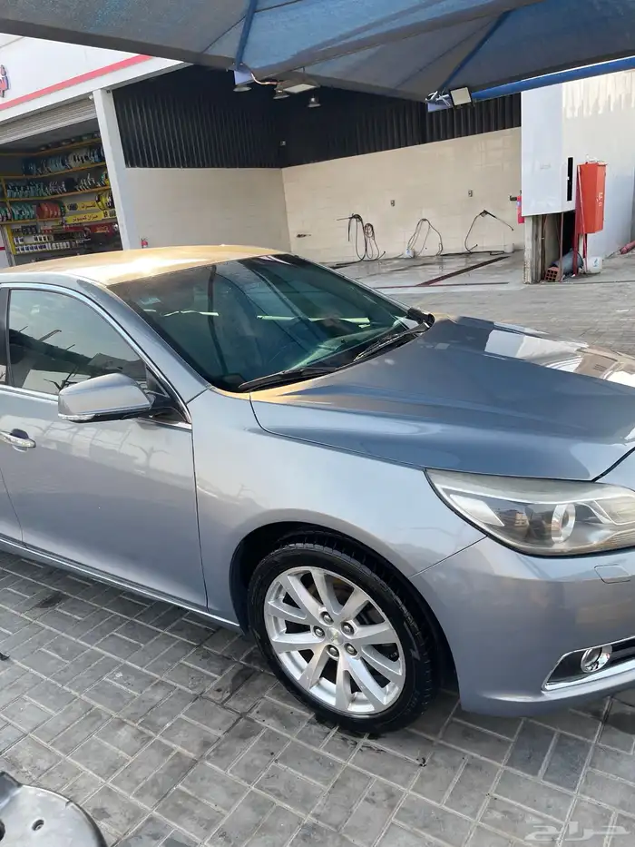 مالبيو 2013 10