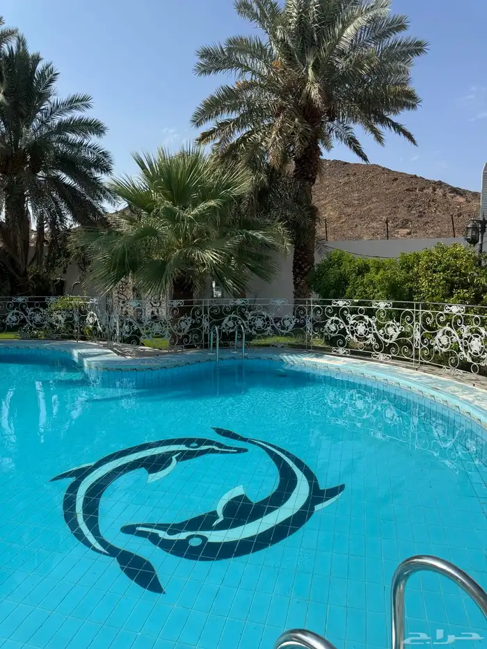 استراحة لاقينا هوم مسبح كبير جدا 30