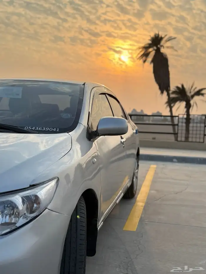 كوريلا 2013 12