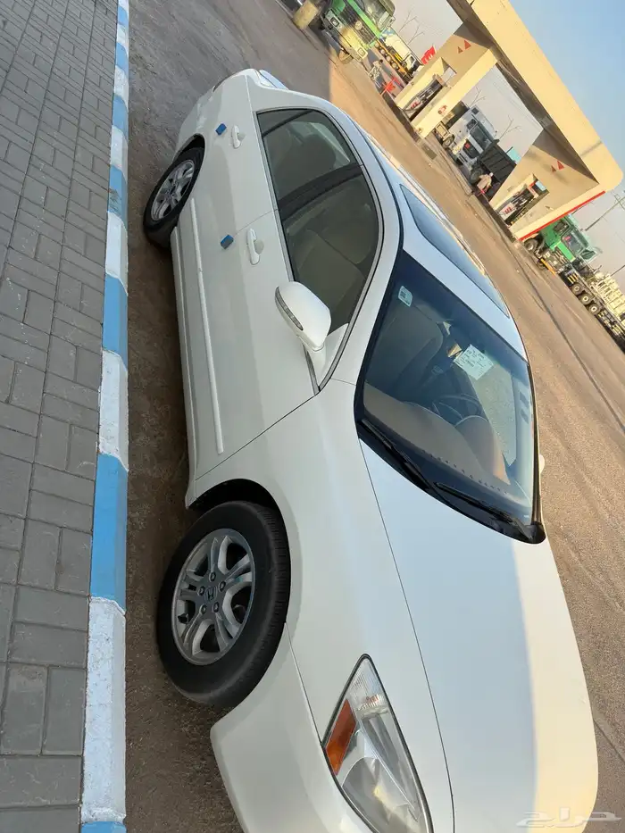 كورد ممشى 580 3