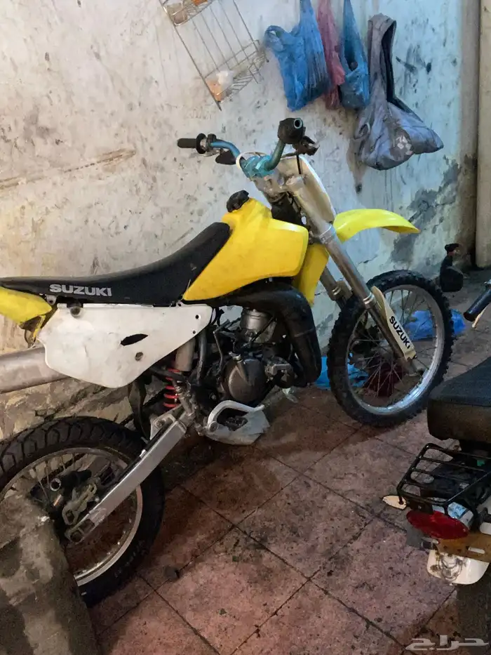 دباب صحراوي 0