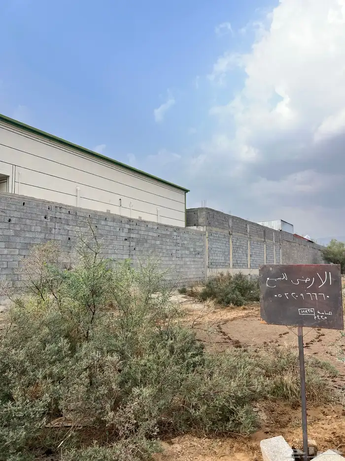 ام العظامم بطحان 0