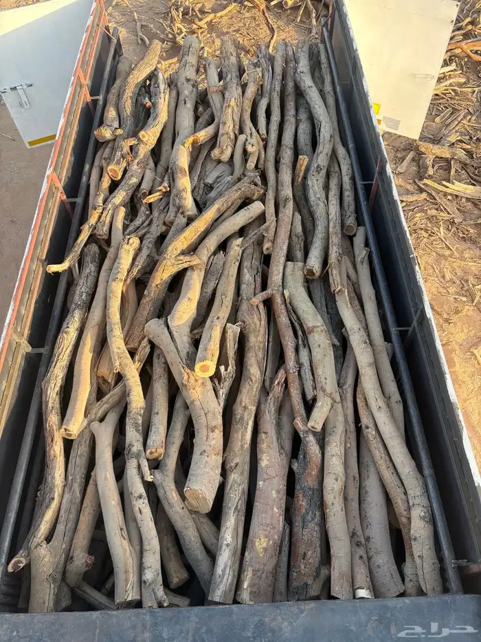 تويوتا هيلوكس مديل 2024 1